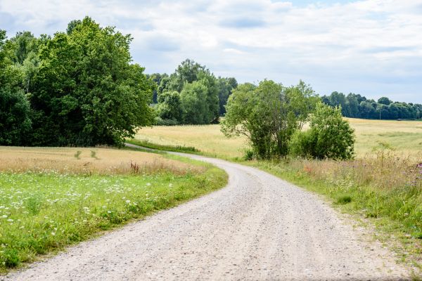 Cost of Stone Driveway Repair in Overland Park