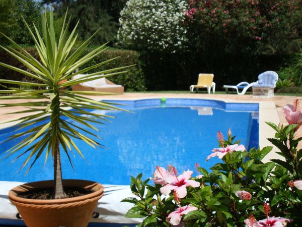 Cost of Pool Terrace Renovation in Overland Park