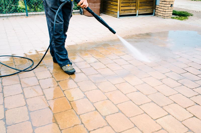 Pavers Surface Care
